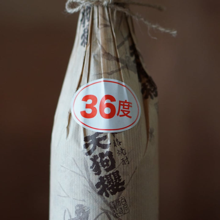 天狗櫻 原酒 36度  (2025年製) 〈島内地区〉720ml